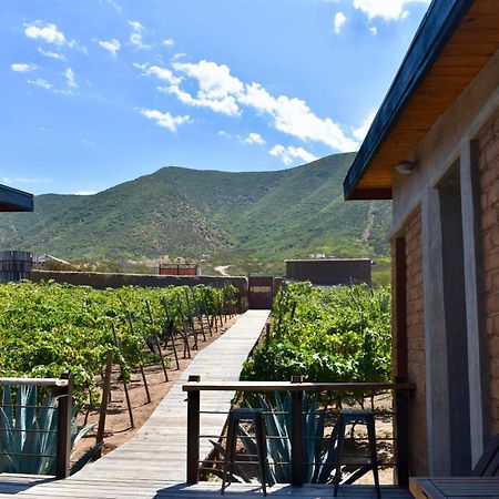Uvauva Eco-Retreat Acomodação com café da manhã Valle de Guadalupe Exterior foto