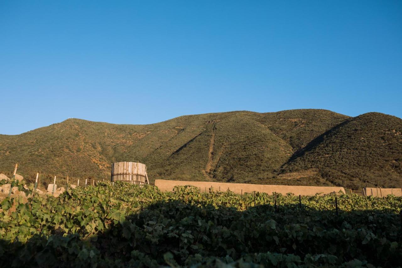 Uvauva Eco-Retreat Acomodação com café da manhã Valle de Guadalupe Exterior foto