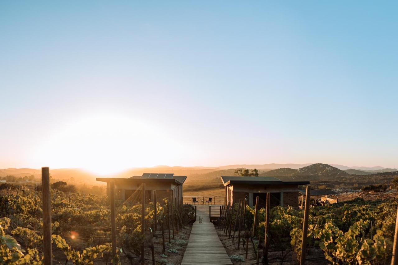 Uvauva Eco-Retreat Acomodação com café da manhã Valle de Guadalupe Exterior foto