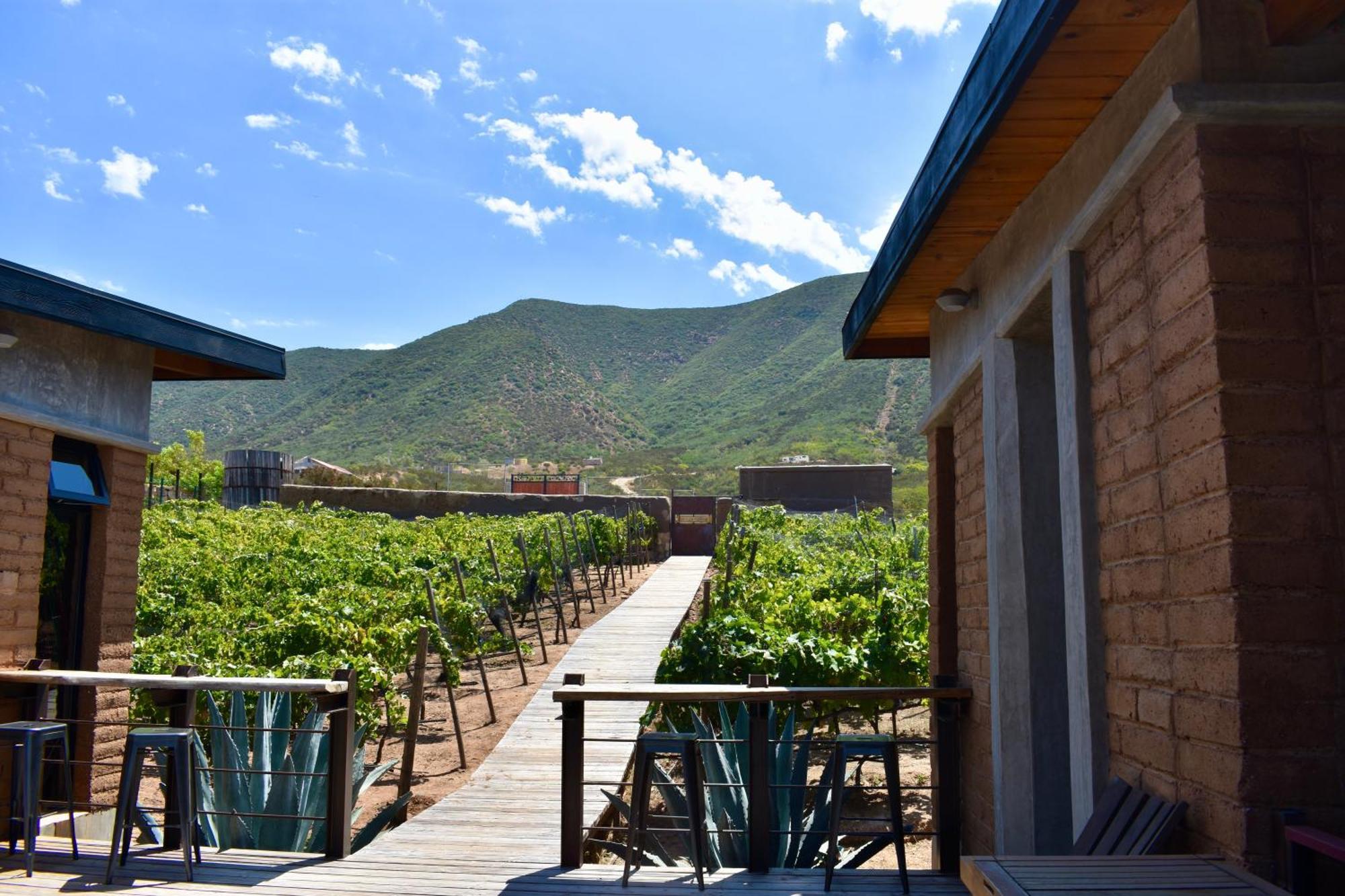Uvauva Eco-Retreat Acomodação com café da manhã Valle de Guadalupe Exterior foto