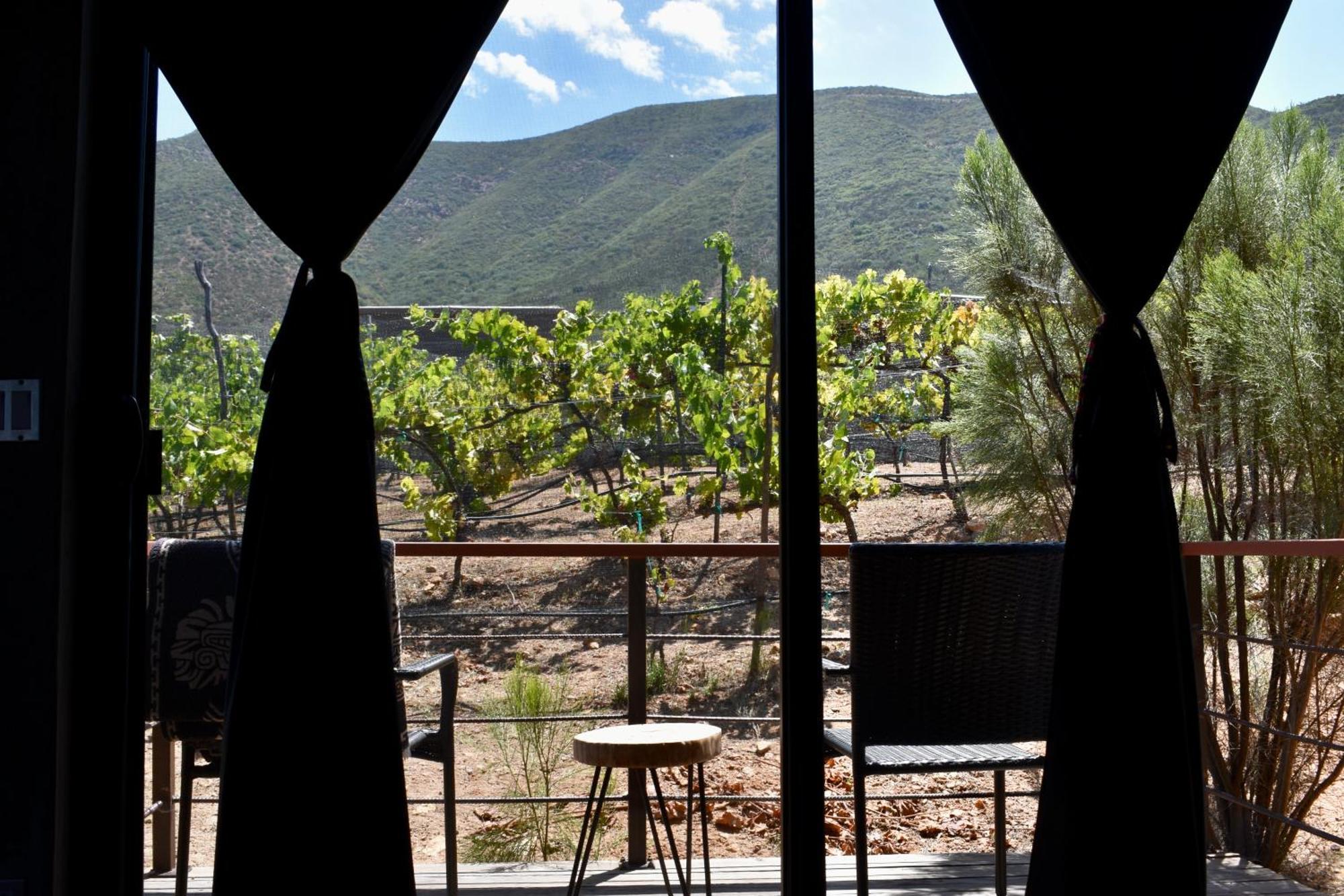 Uvauva Eco-Retreat Acomodação com café da manhã Valle de Guadalupe Exterior foto
