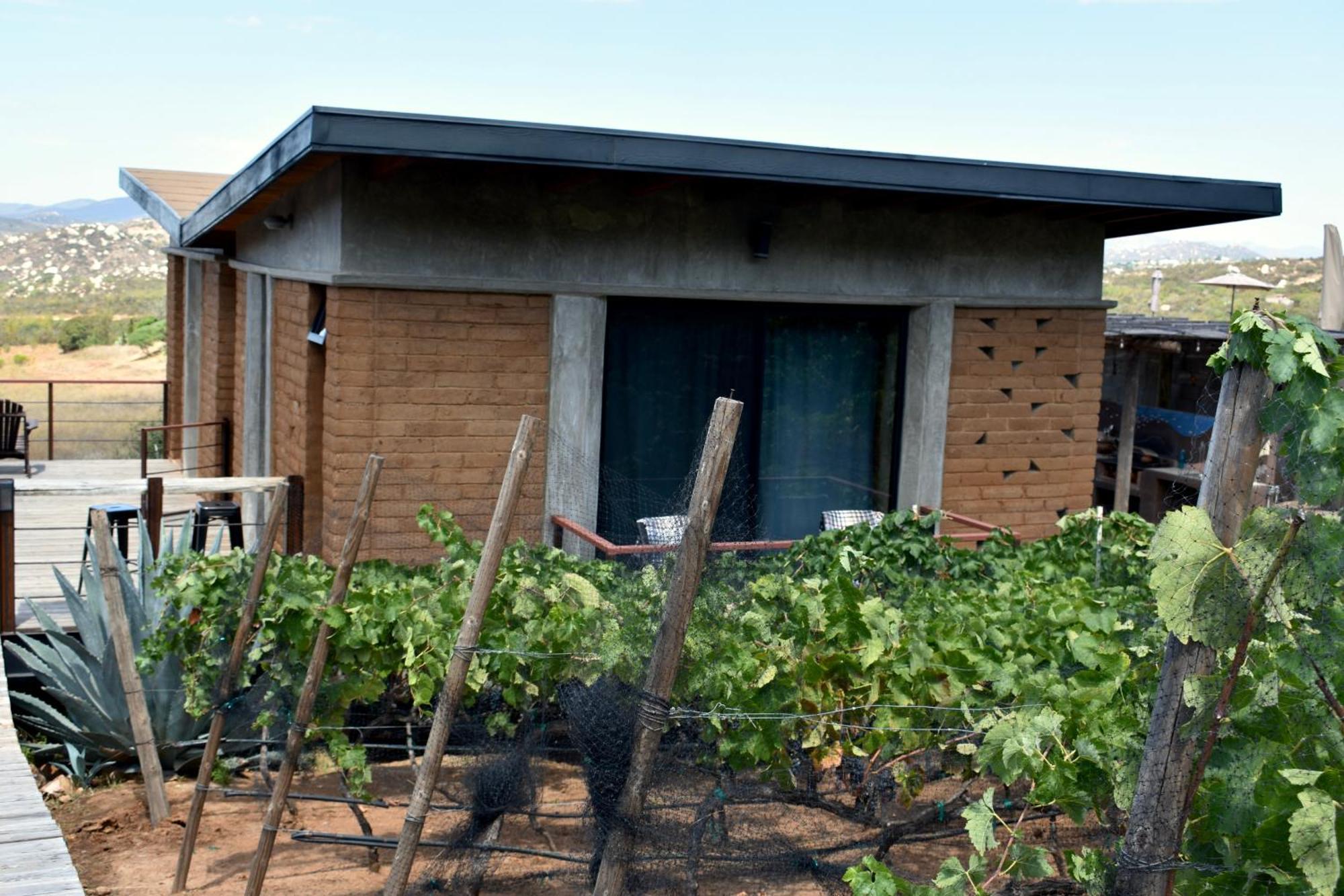 Uvauva Eco-Retreat Acomodação com café da manhã Valle de Guadalupe Exterior foto