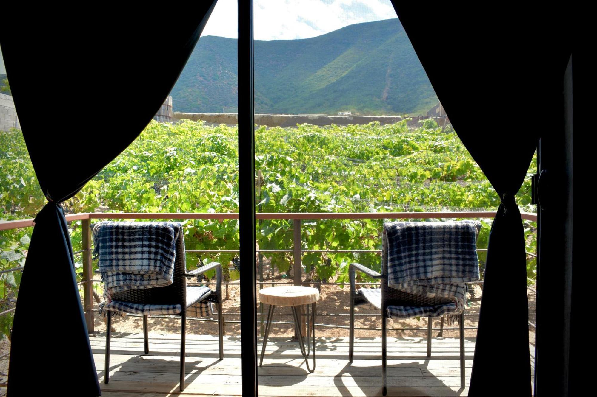 Uvauva Eco-Retreat Acomodação com café da manhã Valle de Guadalupe Exterior foto
