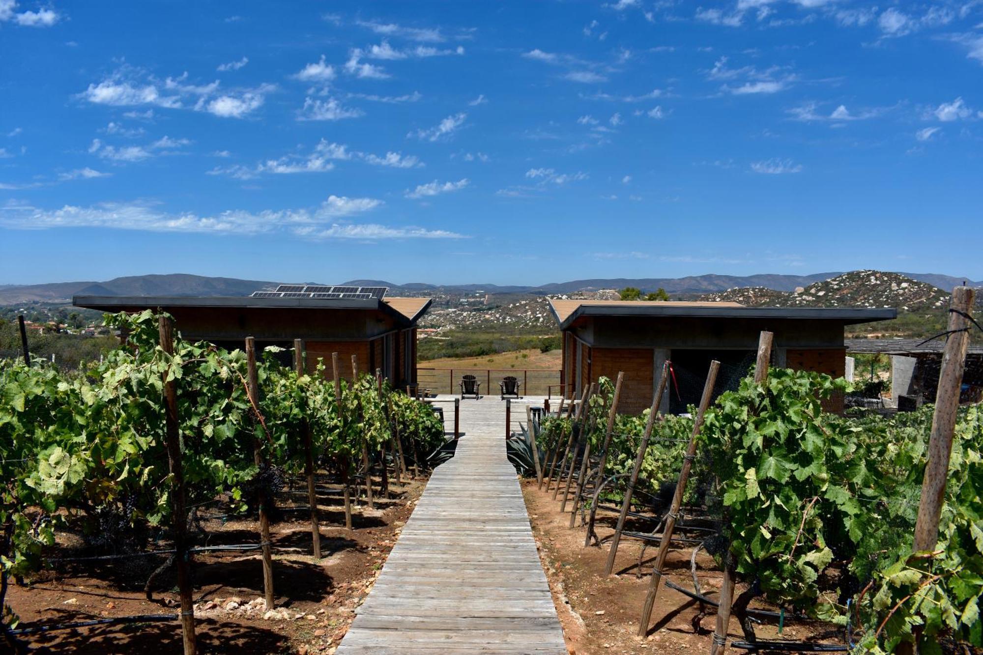 Uvauva Eco-Retreat Acomodação com café da manhã Valle de Guadalupe Exterior foto